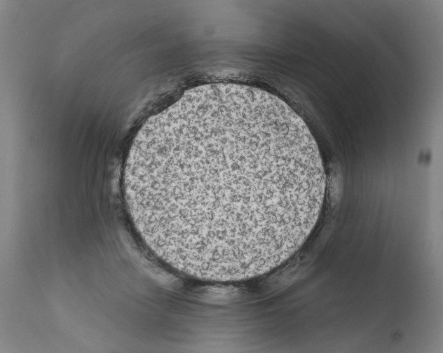 X0000110950458200907311046