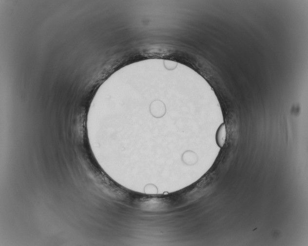 X0000110950460200907311046