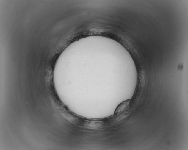 X0000110950463200907311046