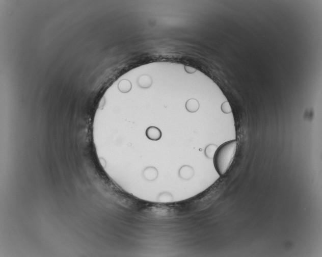 X0000110950464200907311046