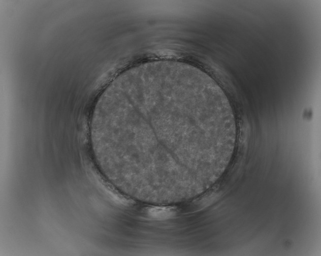 X0000110950465200907311046