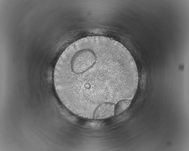 X0000110950466200907311046