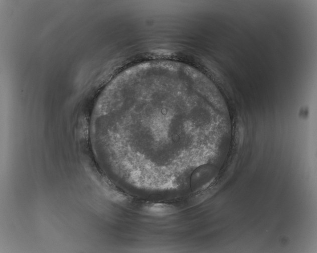 X0000110950467200907311046