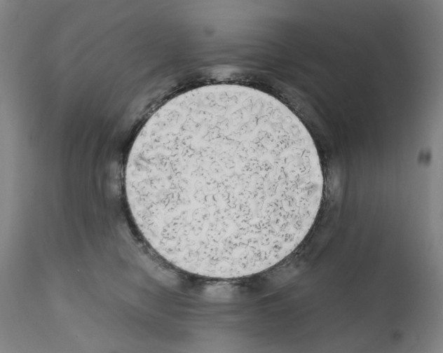 X0000110950470200907311046