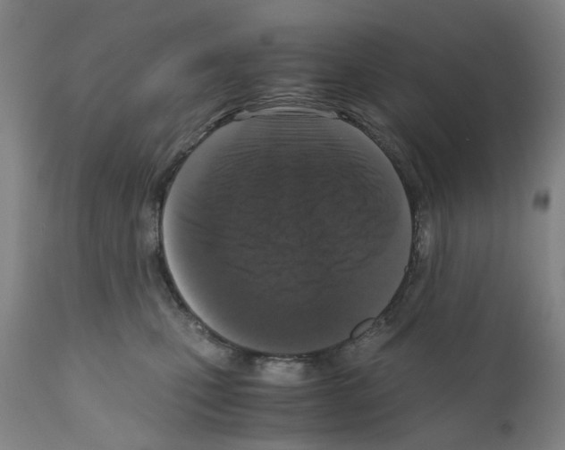 X0000110950471200907311046