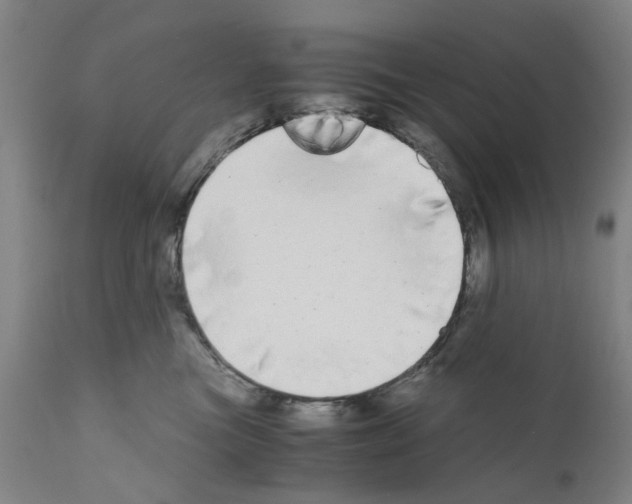 X0000110950473200907311046