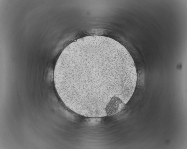 X0000110950474200907311046