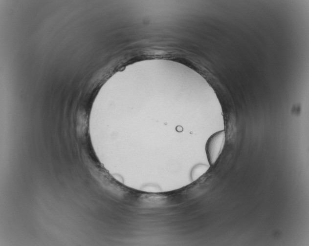 X0000110950476200907311046