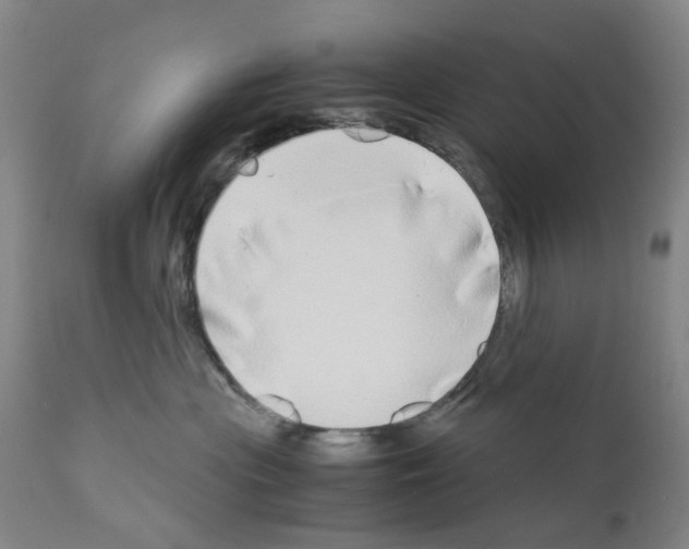 X0000110950477200907311046