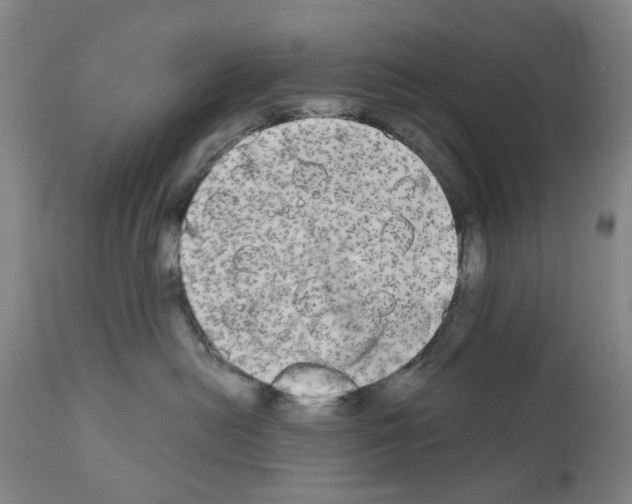 X0000110950478200907311046