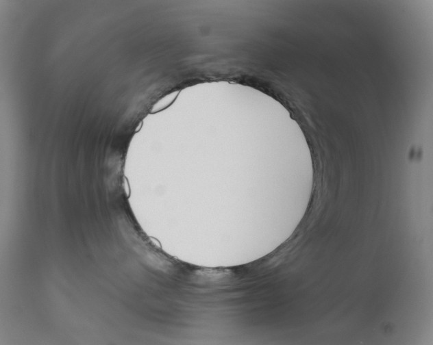 X0000110950480200907311046