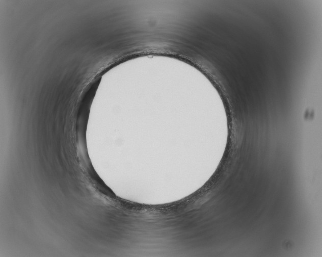 X0000110950481200907311045