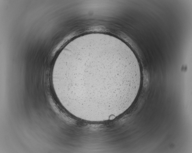 X0000110950482200907311045