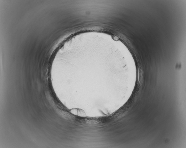 X0000110950483200907311045