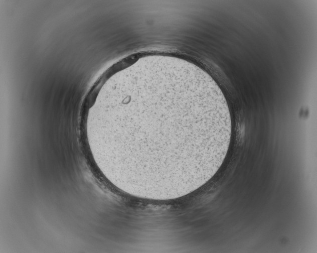 X0000110950484200907311045