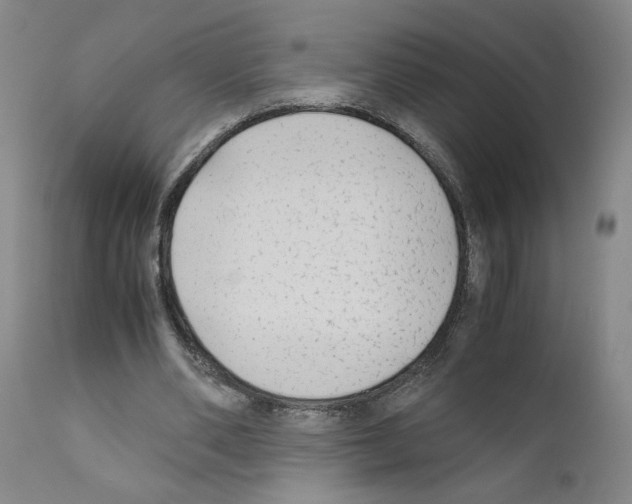 X0000110950486200907311045