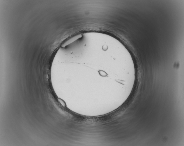 X0000110950489200907311045