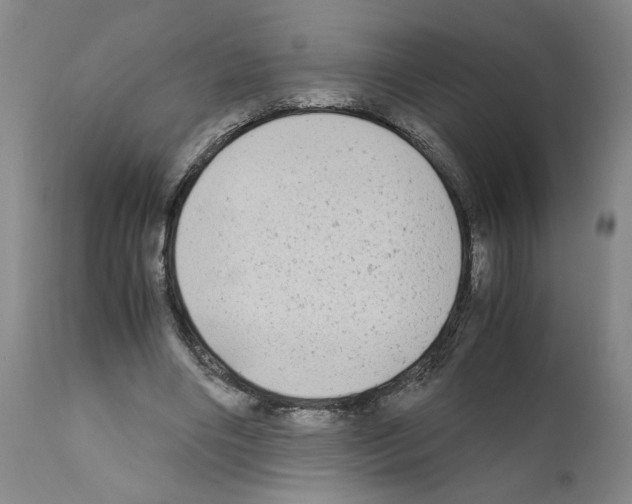 X0000110950490200907311045