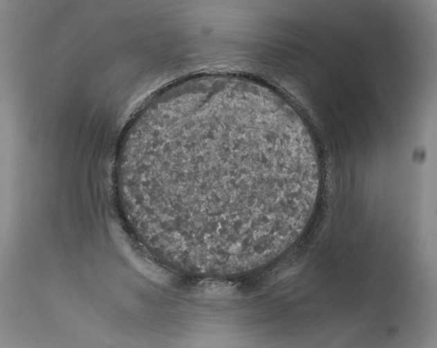 X0000110950491200907311045