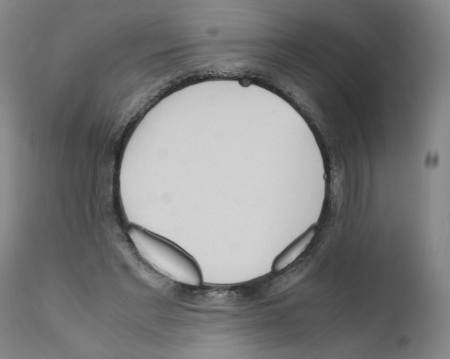 X0000110950493200907311045