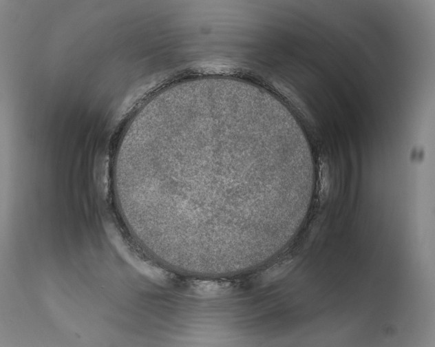 X0000110950494200907311045