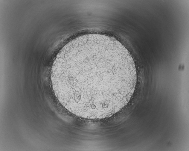 X0000110950495200907311045