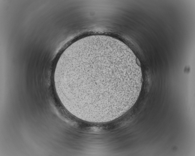 X0000110950496200907311045
