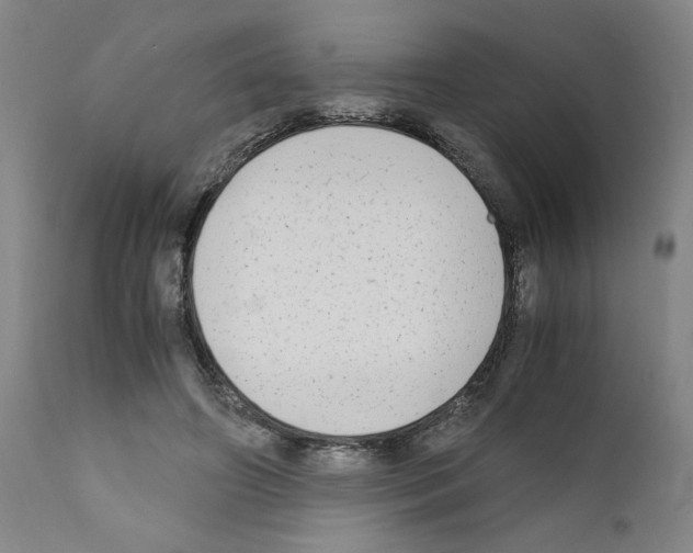 X0000110950498200907311045