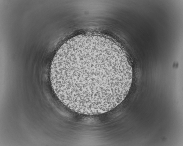 X0000110950499200907311045