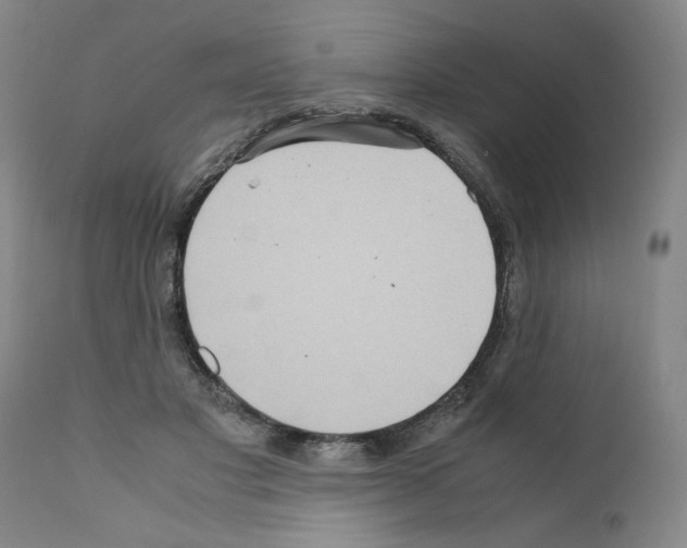 X0000110950501200907311045