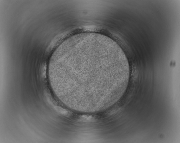 X0000110950502200907311045