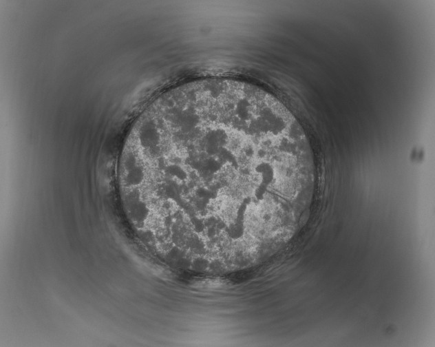 X0000110950503200907311045
