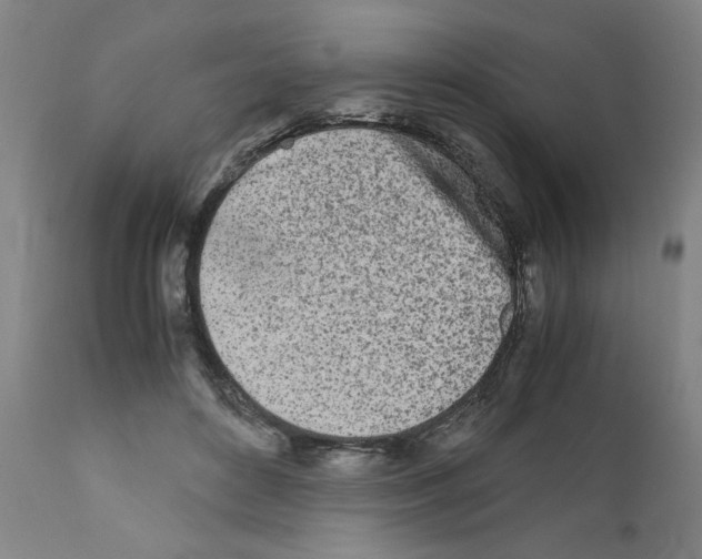 X0000110950504200907311045
