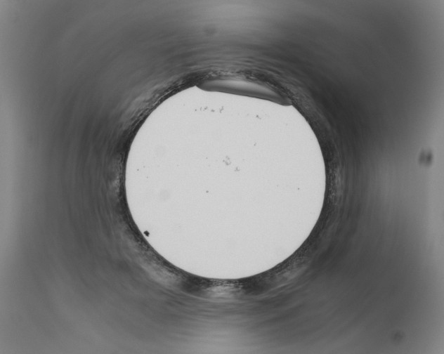 X0000110950505200907311045