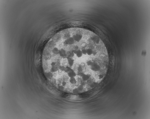 X0000110950507200907311045