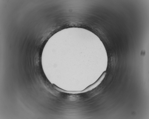 X0000110950508200907311045