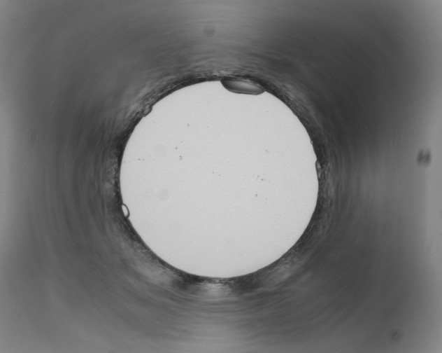 X0000110950509200907311045