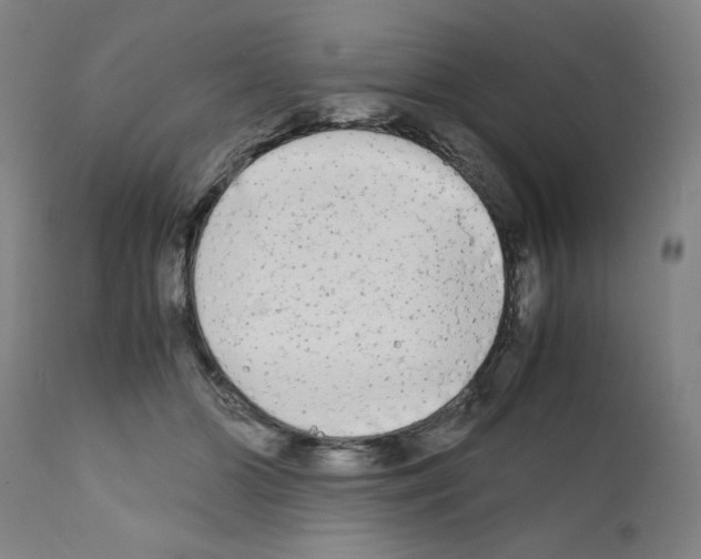 X0000110950510200907311045