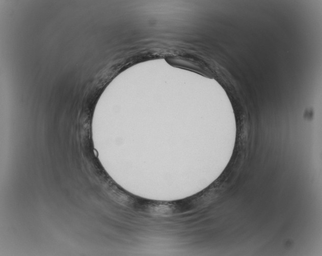 X0000110950513200907311045