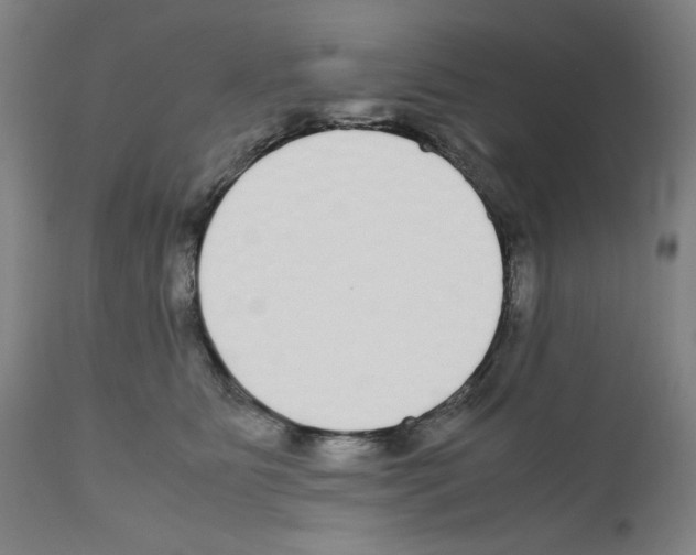 X0000110950515200907311045