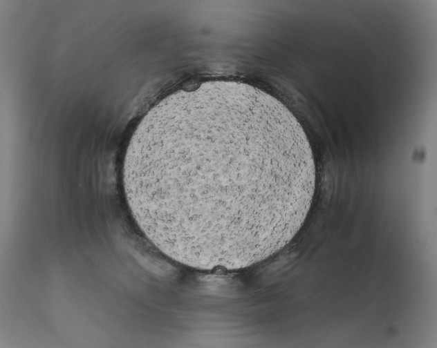 X0000110950516200907311045