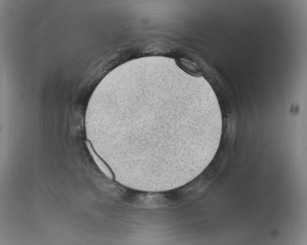 X0000110950517200907311045