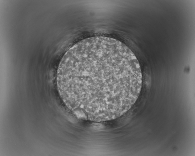 X0000110950519200907311045
