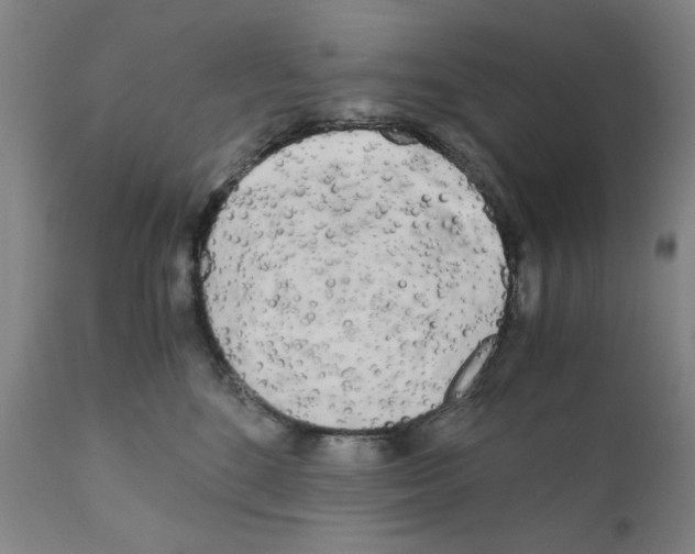 X0000110950520200907311045