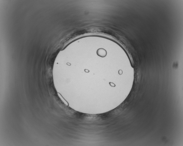 X0000110950521200907311045