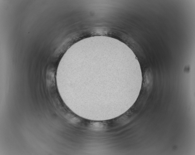X0000110950522200907311045