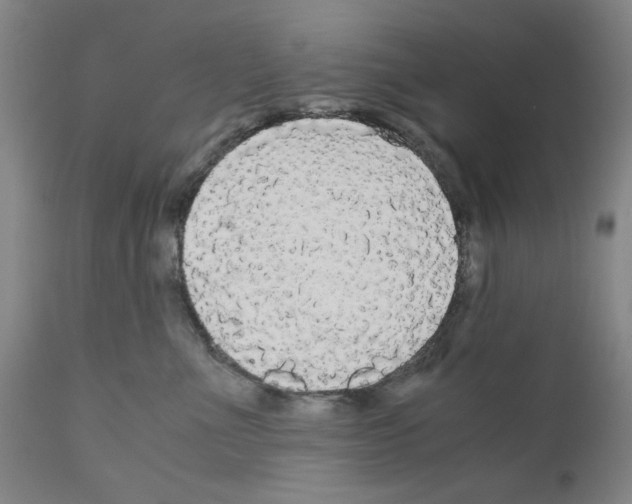 X0000110950523200907311045
