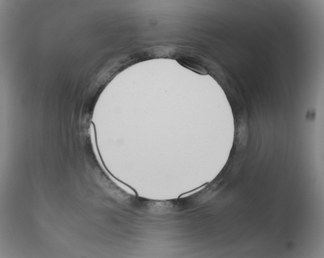 X0000110950525200907311044