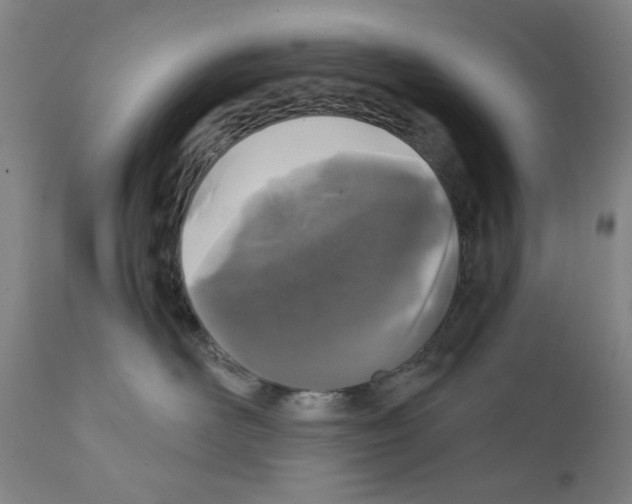 X0000110950526200907311044