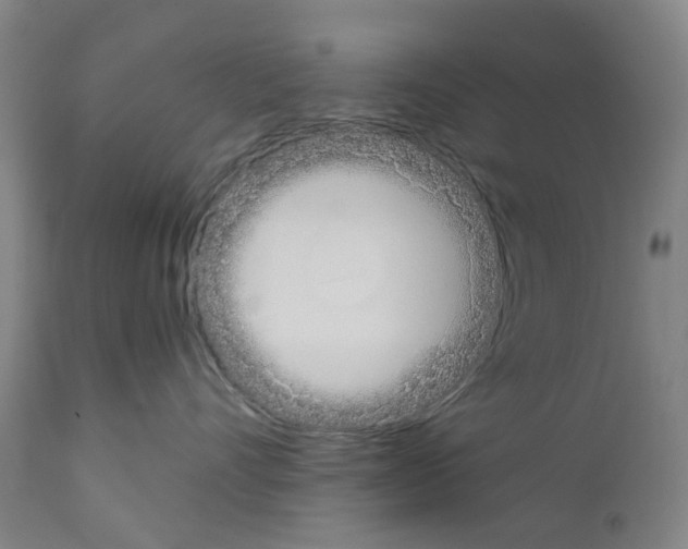 X0000110950528200907311044
